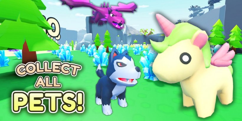 Collect All Pets codes for free gold boost (August 2024)