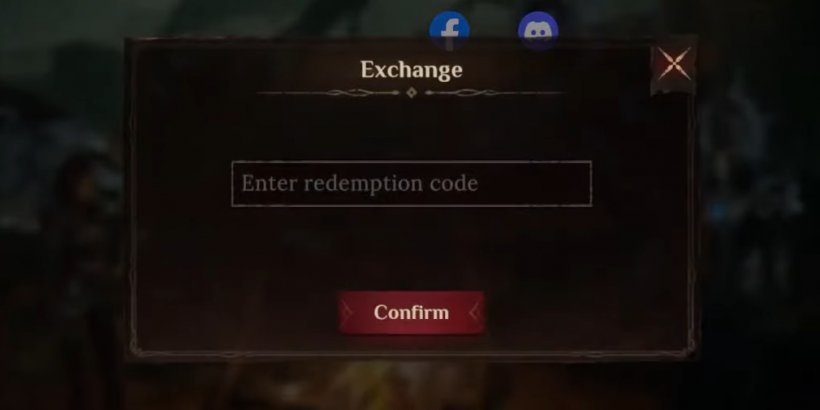 Screenshot from Dragonheir saying 'Enter redemption code'